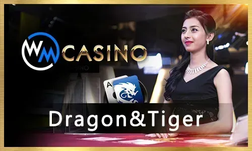 Live Casino Strategies